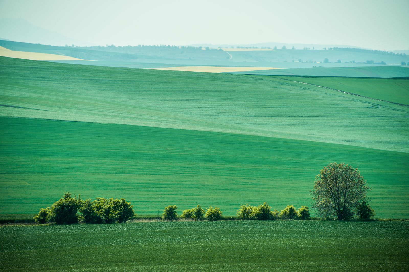 緑の絨毯 チェコの秘境 モラヴィア の大草原が言葉を失う美しさ Retrip リトリップ