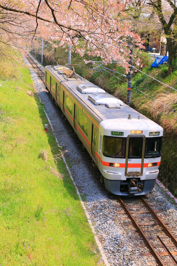 場所取りも買い出しも必要なし 東京都内で楽しめる おすすめお花見スタイル 6選 Retrip リトリップ