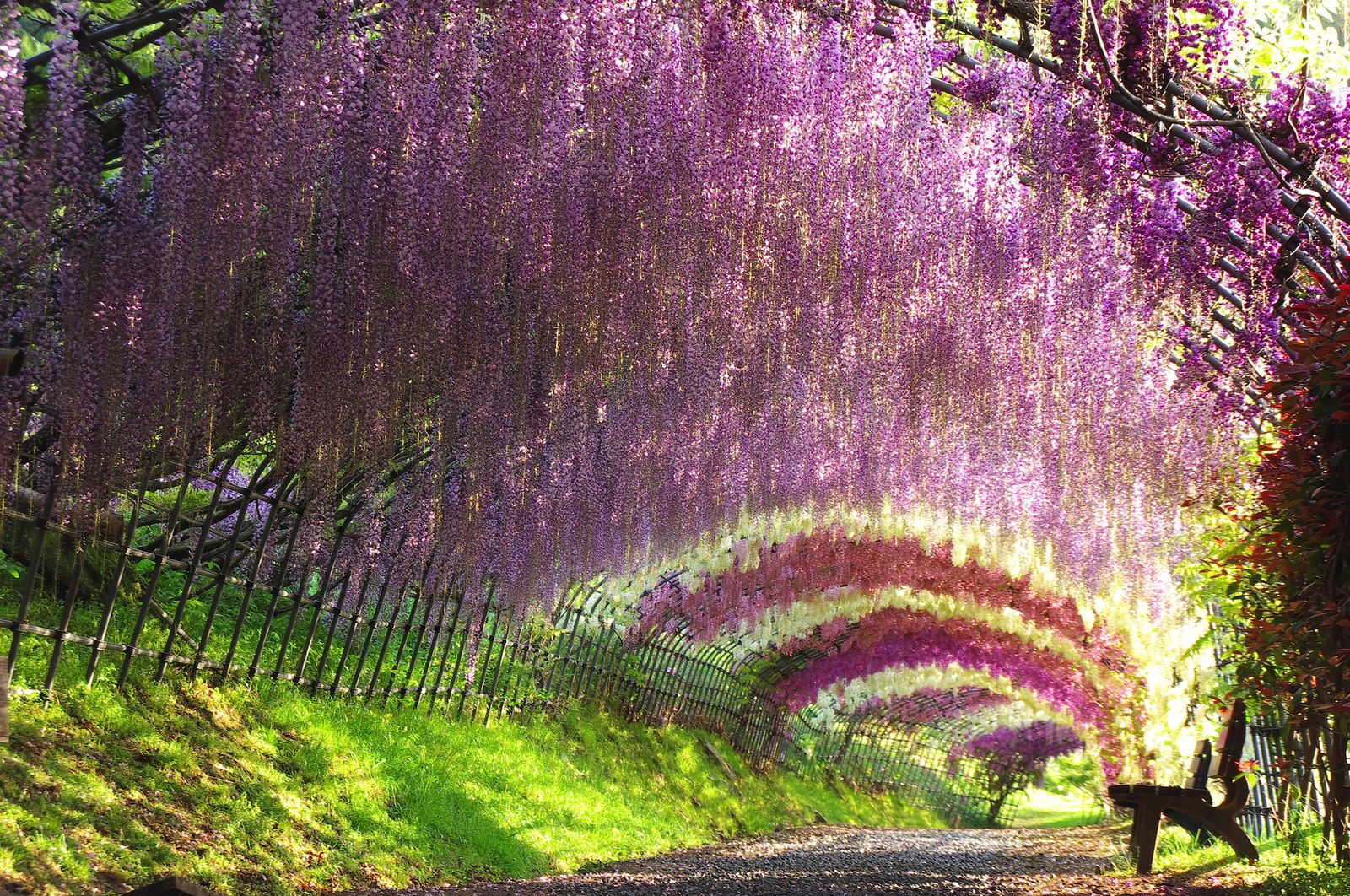 色づいた日本はこんなに美しい 日本全国の美しすぎる 絶景お花畑 10選 Retrip リトリップ