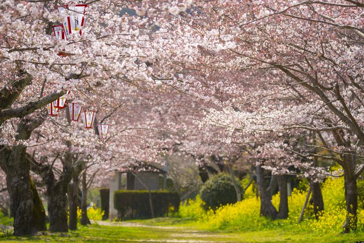 こんなに近くにあった 相模原の定番おすすめおでかけスポット選 Ava Travel アバトラベル