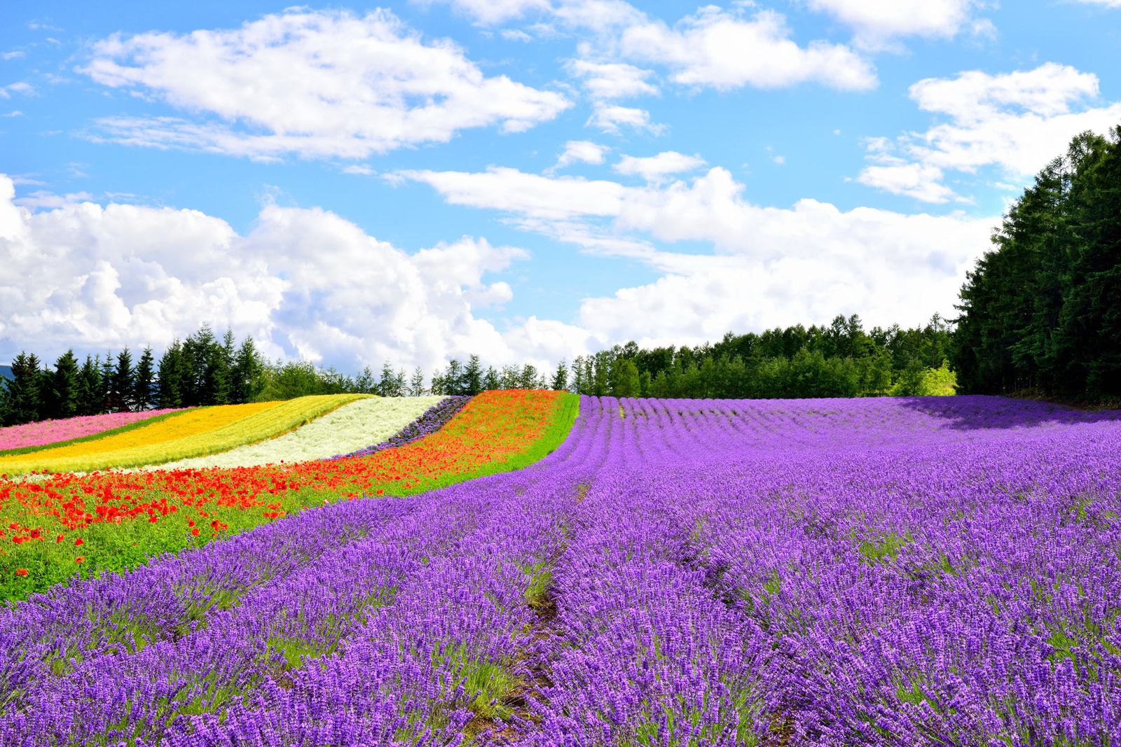 やっぱりスケールが違いすぎる 北海道でしか見られない驚くべき自然の絶景10選 Retrip リトリップ