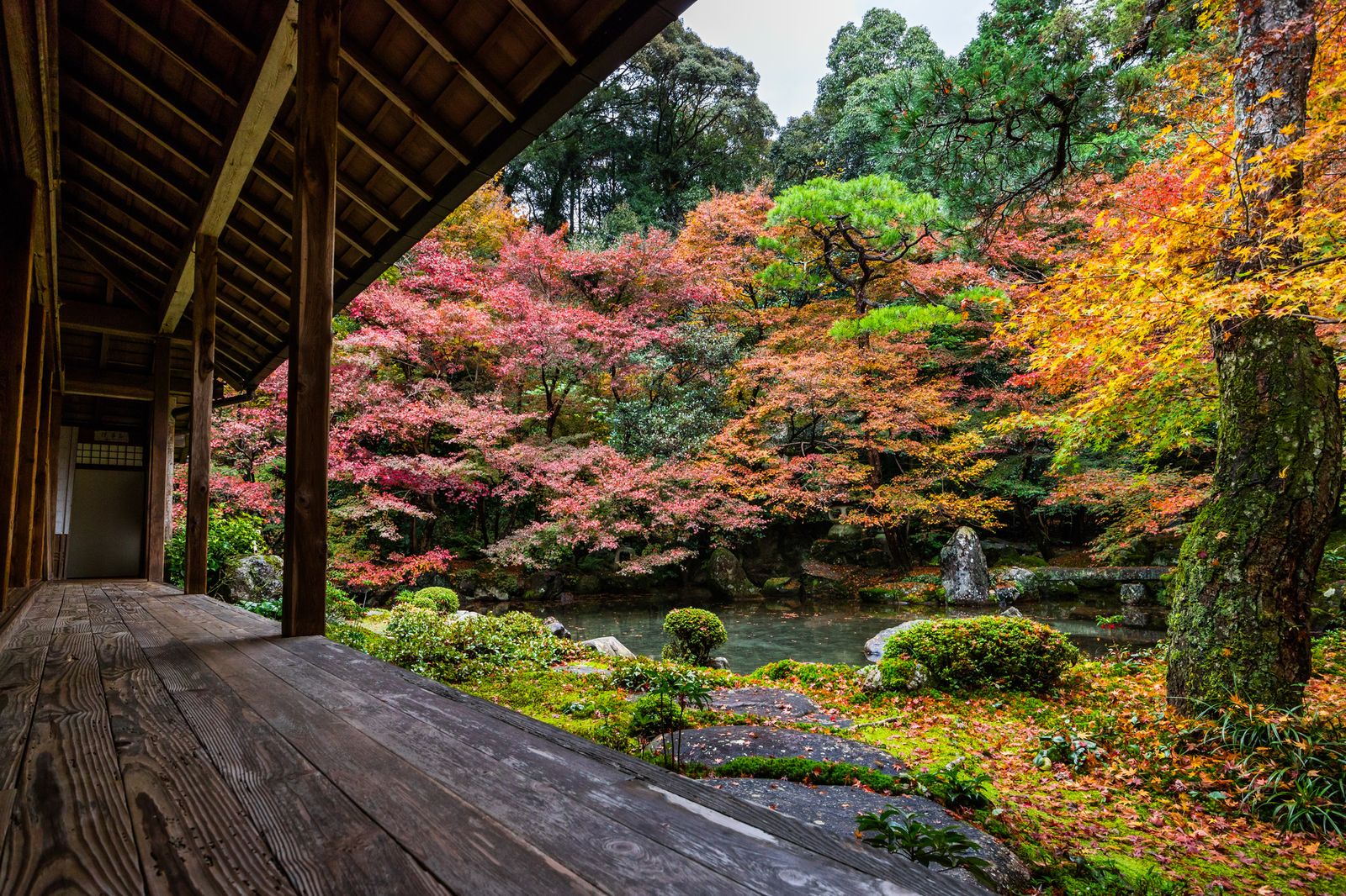 ここがあのロケ地 そうだ京都 行こう のcmに使われた寺院10選 Retrip リトリップ