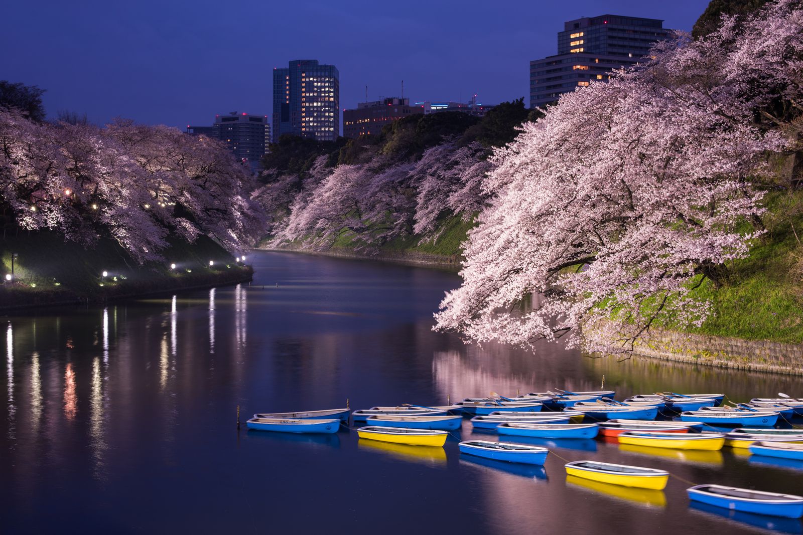 カップルでも 友達同士でも 東京都内でボートに乗れる公園7選 Retrip リトリップ