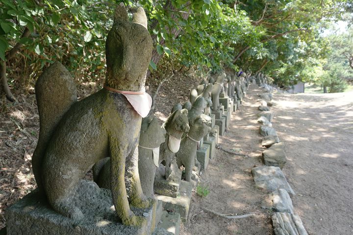 千本鳥居に無数の狐。不思議すぎる青森のパワースポット「高山稲荷神社 