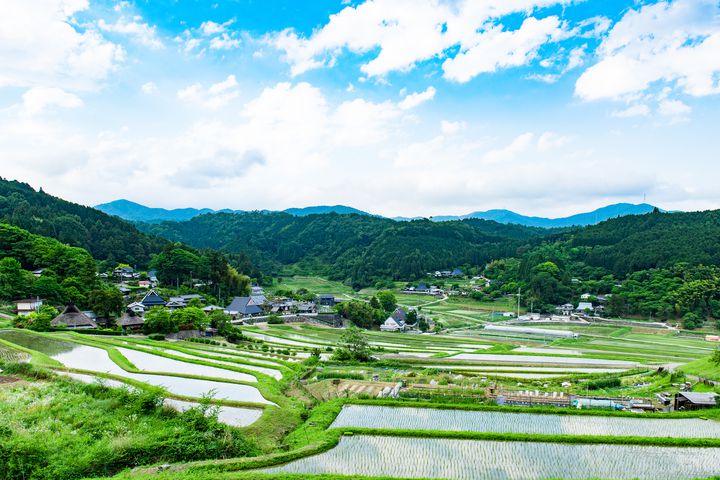 大阪にこんな景色があるなんて 大阪で見つけた美しき10の絶景スポット Retrip リトリップ