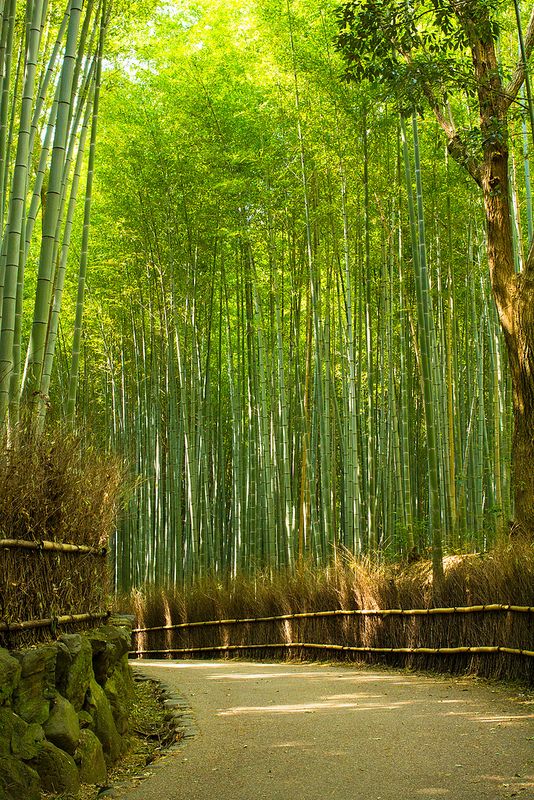 京都の王道観光 日本の美を満喫できる京都オススメ観光スポット60選 Retrip リトリップ