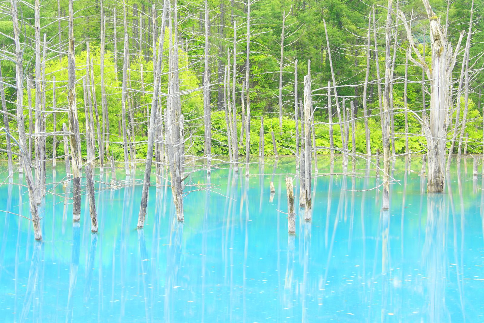 北海道 美しき日本を再発見 北海道のフォトジェニックな絶景スポット5選 Retrip リトリップ
