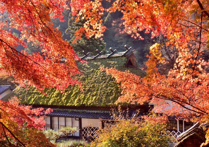 愛知 美しき日本を再発見 愛知のフォトジェニックな絶景スポット5選 Retrip リトリップ