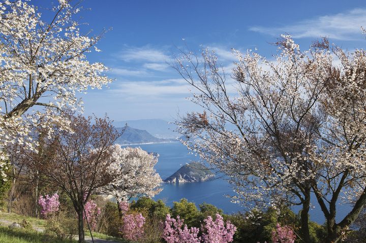 《香川》美しき日本を再発見！香川のフォトジェニックな絶景スポット5選