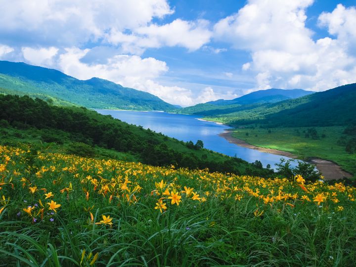 これからが見頃 ニッコウキスゲ が美しい日本全国のスポット5選 Retrip リトリップ