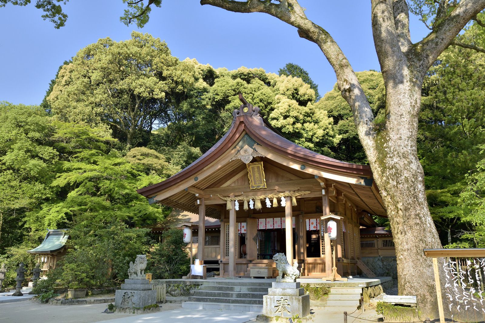 赤い糸で恋愛成就 竈門神社で縁結び Retrip リトリップ