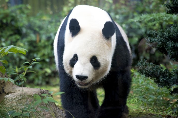 上野動物園だけじゃイヤだ 上野動物園周辺の子連れ家族向けおでかけスポット7選 Retrip リトリップ