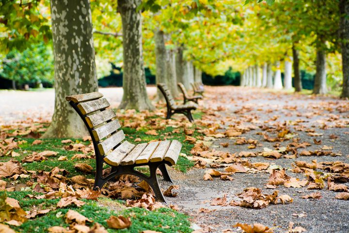 気軽に紅葉を見に行きたいあなたへ贈る 東京都内のおすすめ紅葉鑑賞スポット8選 Retrip リトリップ