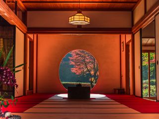 ニュース画像