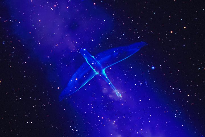 自分の時間 とれてますか 東京都内で 一人になりたい ときの過ごし方6選 Retrip リトリップ