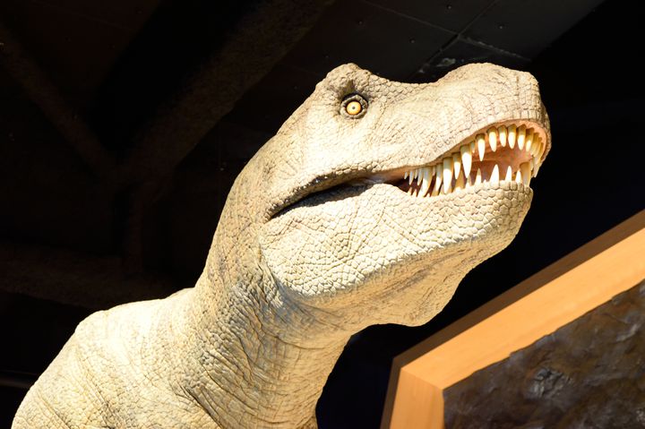 雨の日でも楽しめちゃう 富山のオススメ観光スポット選 Retrip リトリップ