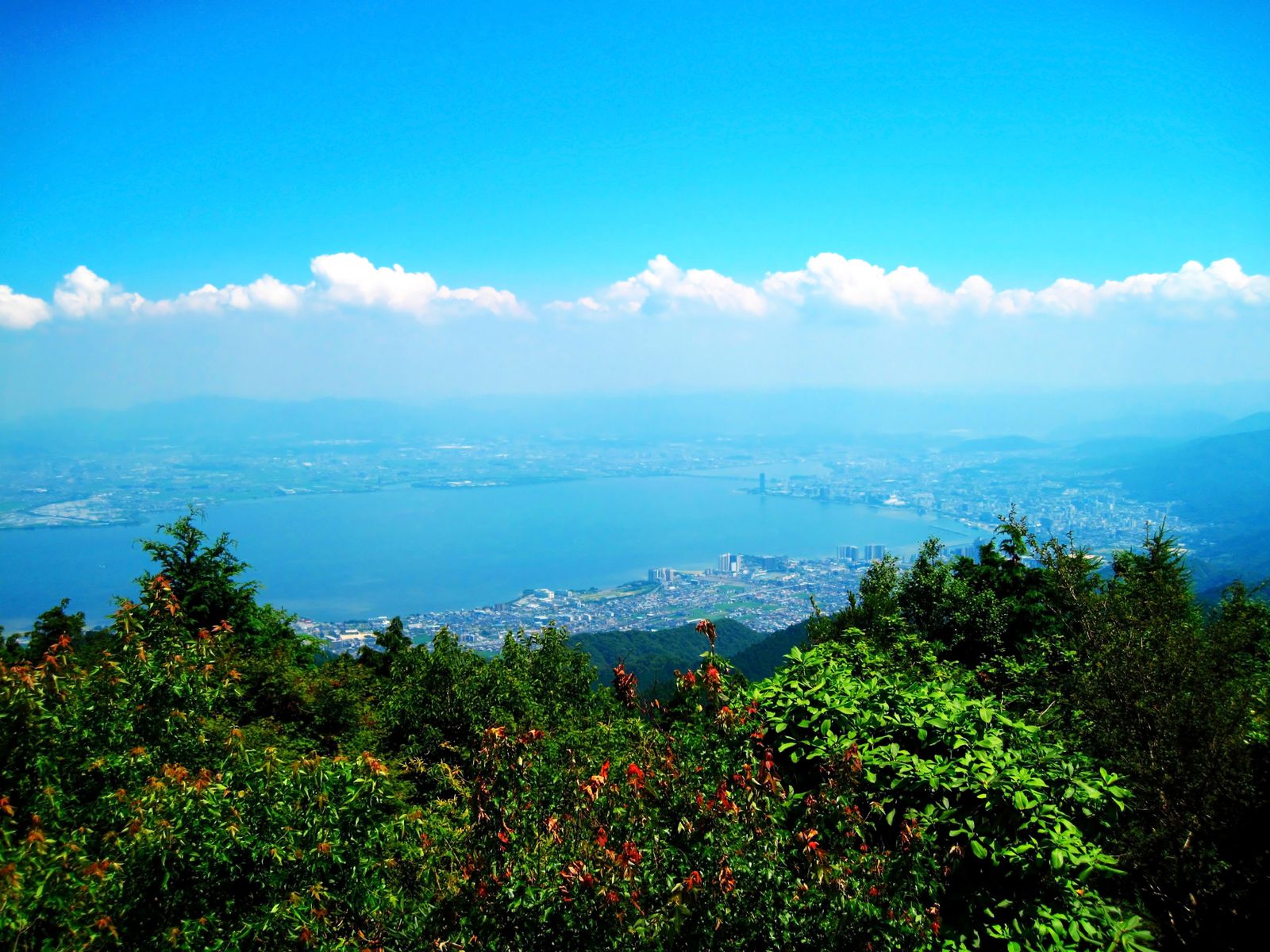 四国 ドライブ デート 東京 デート 3d