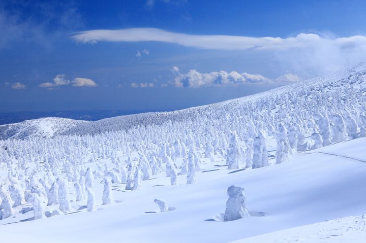 2026最新】冬におすすめ！蔵王町（宮城）の人気スポットランキング
