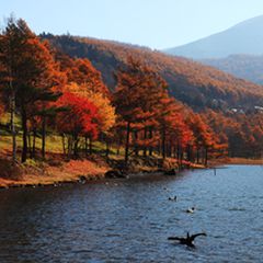 長野県 白樺湖周辺 のおすすめ観光地 どの季節に行っても楽しめる7選 Retrip リトリップ