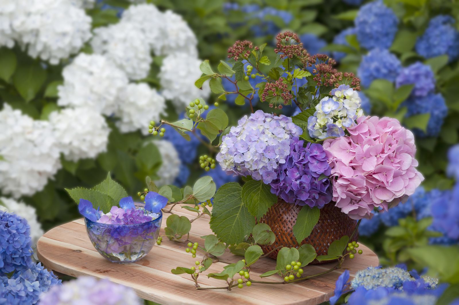 色とりどりの紫陽花が咲き誇る 京都 三室戸寺に紫陽花を見に行こう Retrip リトリップ