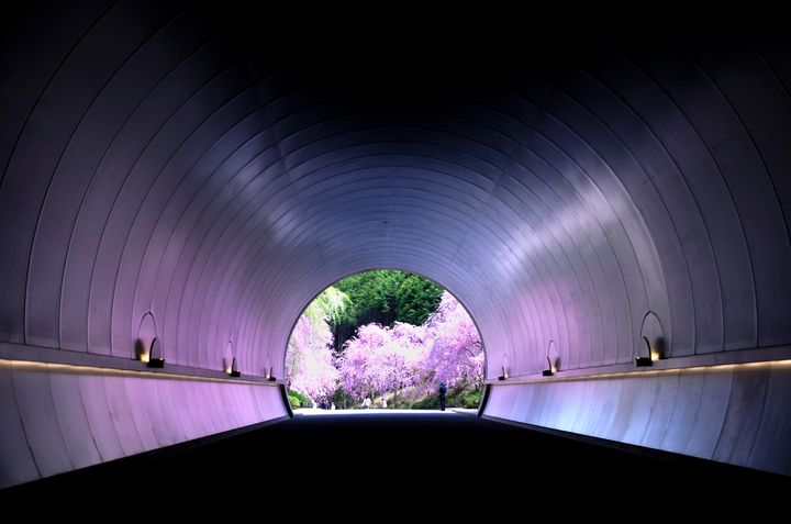 世界に誇れ！これぞ日本の絶景だ！日本国内にある美しすぎる春の絶景7選
