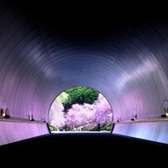 ニュース画像