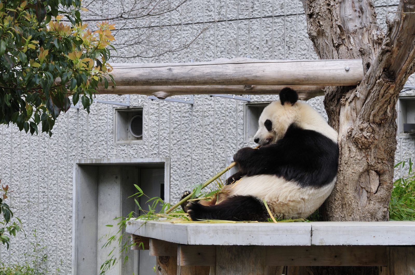 21最新 春におすすめ 近畿 関西地方の人気動物園 水族館ランキングtop30 Retrip リトリップ