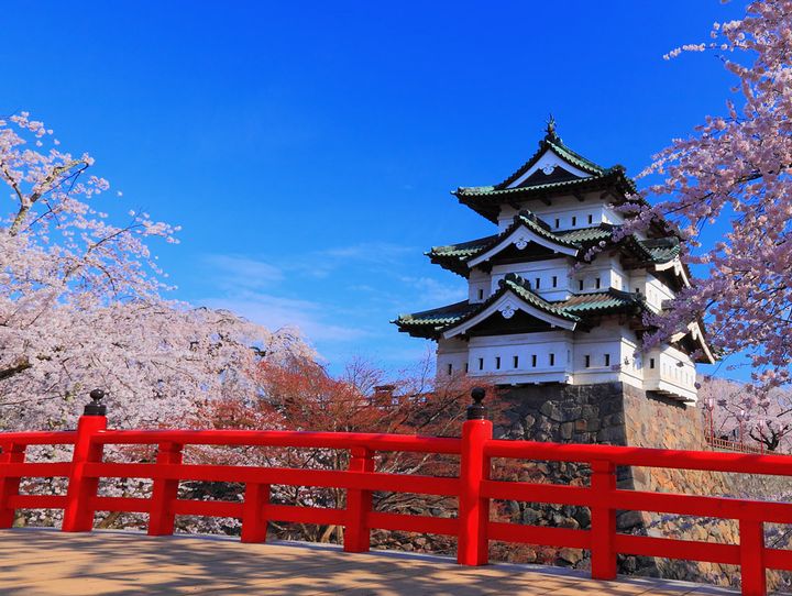 天然温泉岩木桜の湯ドーミーイン弘前>