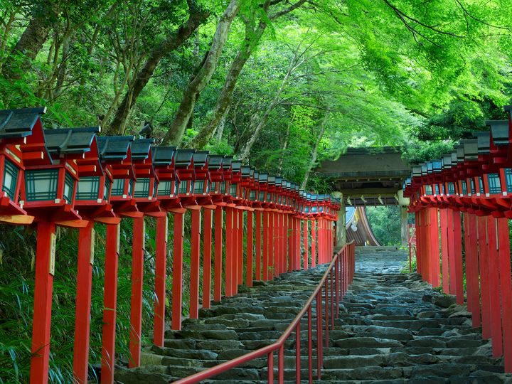 雪降る季節よりも美しい！京都「貴船神社」の新緑の道に心癒される