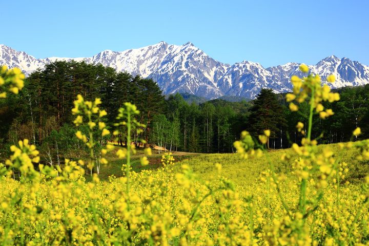 この夏行きたい 長野でリゾート気分が味わえる 野辺山 の観光スポット5選 Retrip リトリップ