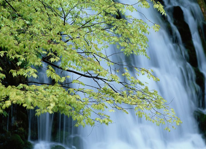 秋田の自然と温泉に癒されよう 秋田でおすすめのホテルランキングtop Retrip リトリップ