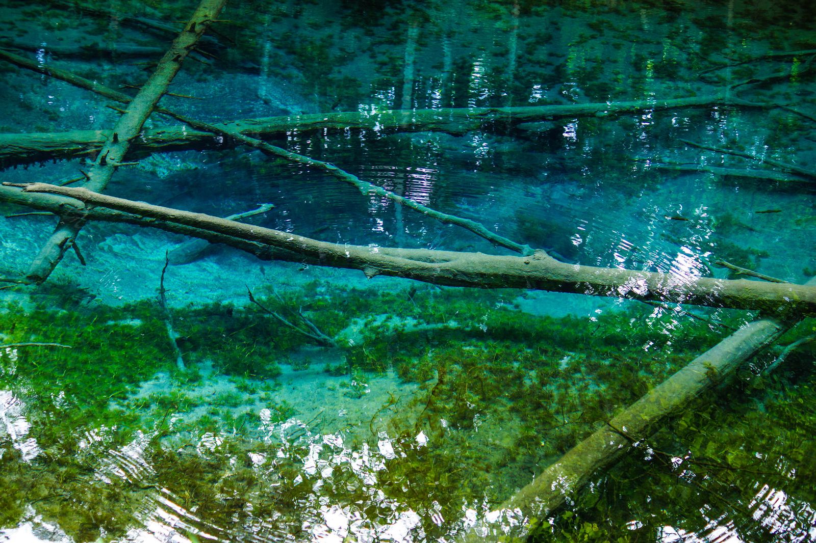 眺めるだけで癒される 日本全国の美しすぎる 青い清流 5選 Retrip リトリップ