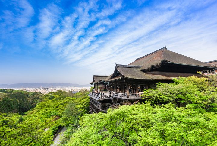 心安らぐ夏だけの絶景 青もみじ が美しい京都のおすすめスポット6選 Retrip リトリップ