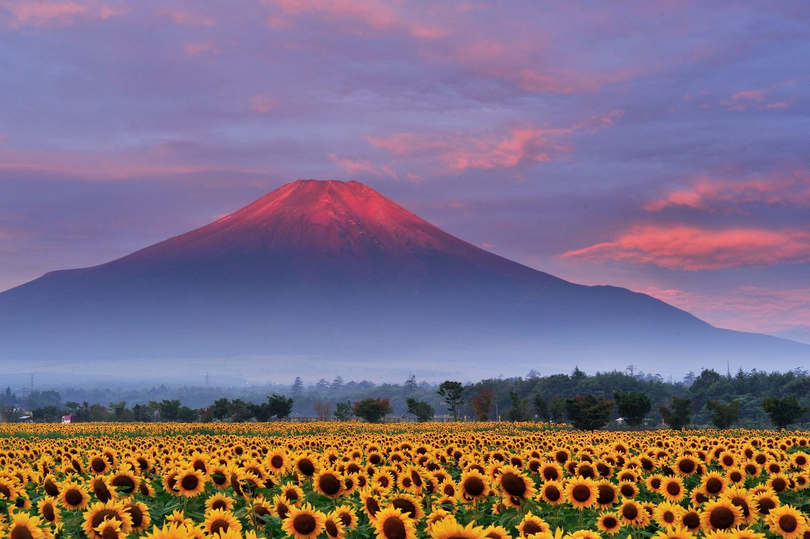 死ぬまでに一度は見たい 日本の夏 だからこそ見たい美しい絶景8選 Retrip リトリップ