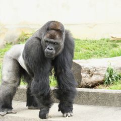 1日いてもずっと楽しい 名古屋 東山動植物園でしたい7つのこと Retrip リトリップ