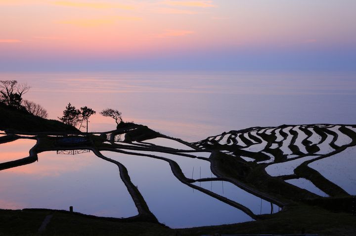 日本が誇る美しき絶景。人生で一度は見たい日本全国の「棚田」7選