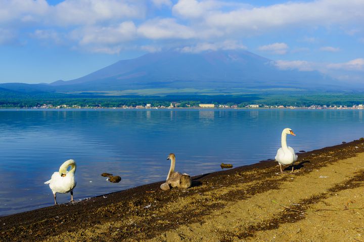富士五湖で宿泊するなら絶対キャンプ おすすめキャンプ場5選 Retrip リトリップ
