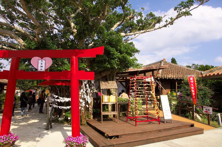 恋愛運upは確実 福岡にある全国で1社だけの 恋木神社 が可愛すぎる Retrip リトリップ