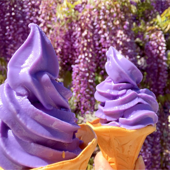 華やかで可愛い味わい 日本全国のフラワーフレーバーのソフトクリーム7選 Retrip リトリップ