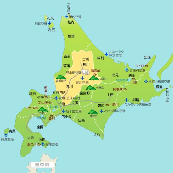 世界で最注目の人気者 カワイイと話題のエゾモモンガを日本で見る方法 Retrip リトリップ