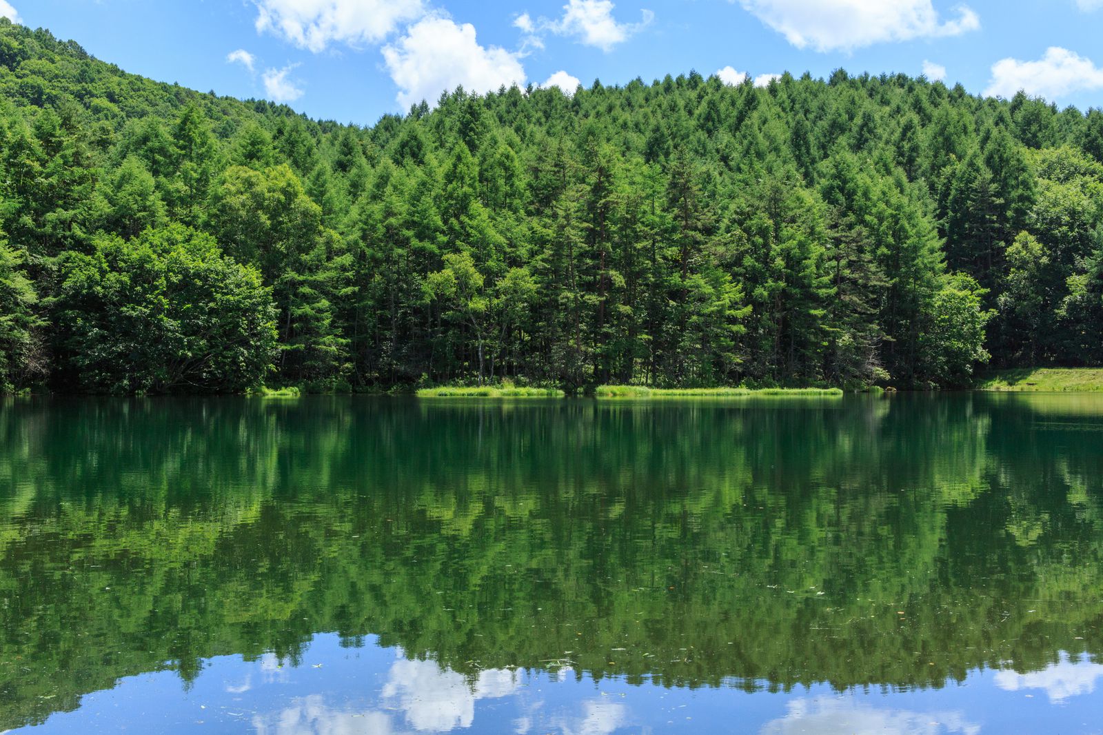 青いだけじゃない 長野のあの池が日本一美しいと言える5つの理由 Retrip リトリップ