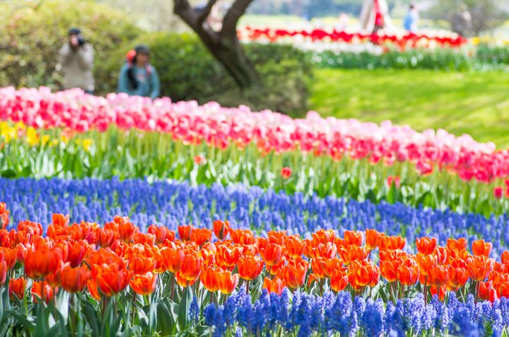 子連れにもカップルにもおすすめ！立川周辺でおすすめの公園5選