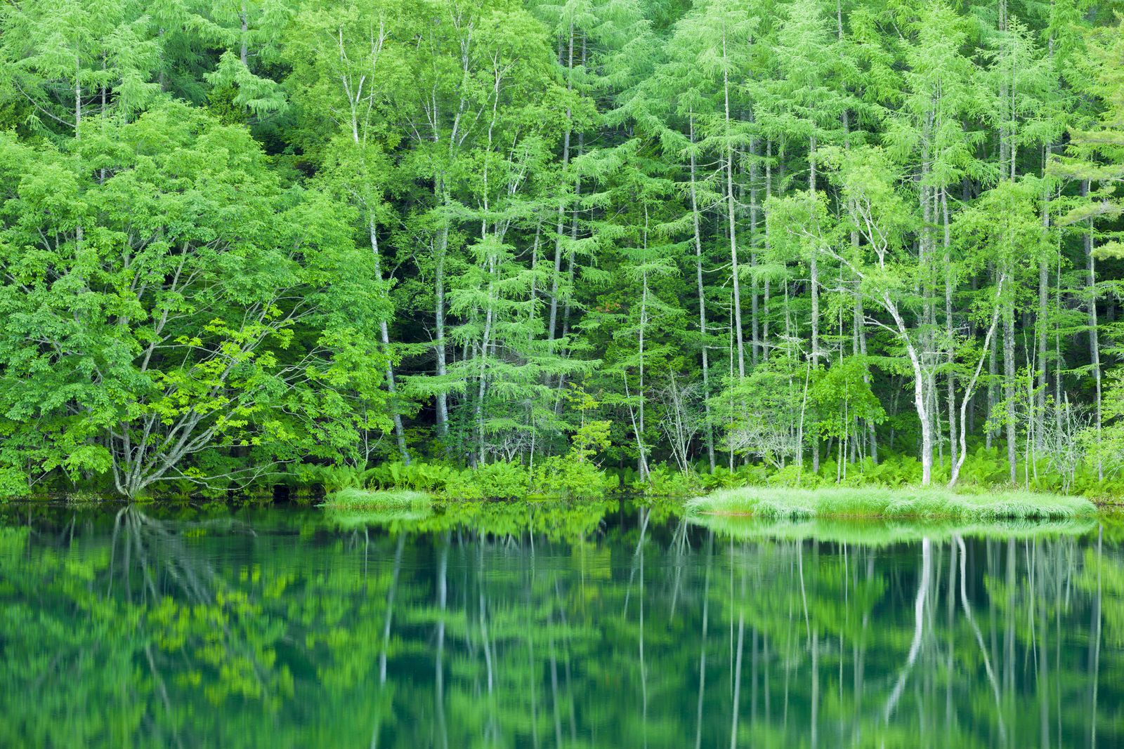 18枚目の画像 夏の疲れを癒す旅へ 日本全国の緑に囲まれた 大自然の絶景 7選 Retrip リトリップ