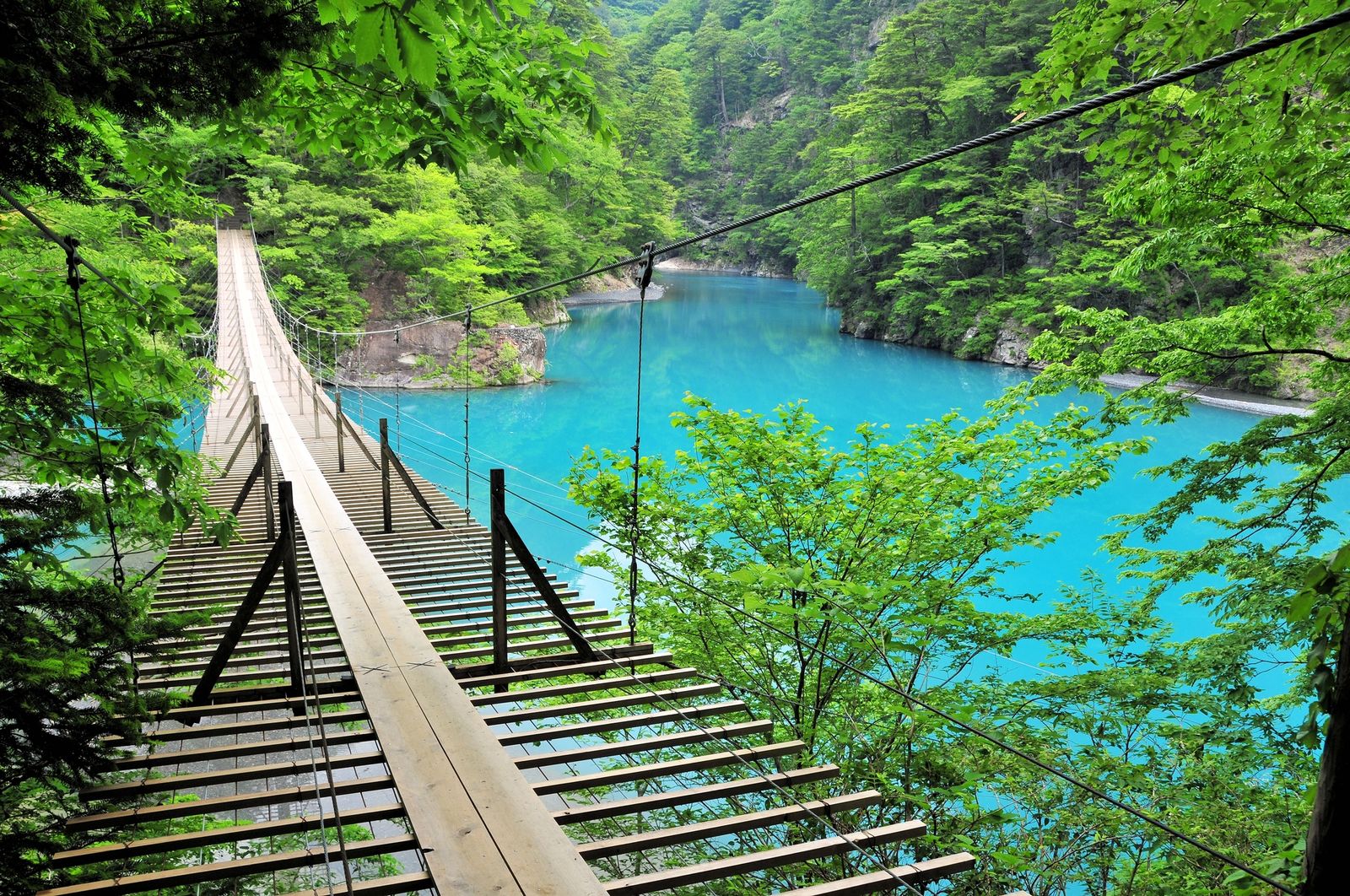 日本一渡りたい 大自然の絶景橋 ネットで話題の 夢の吊り橋 とは Retrip リトリップ