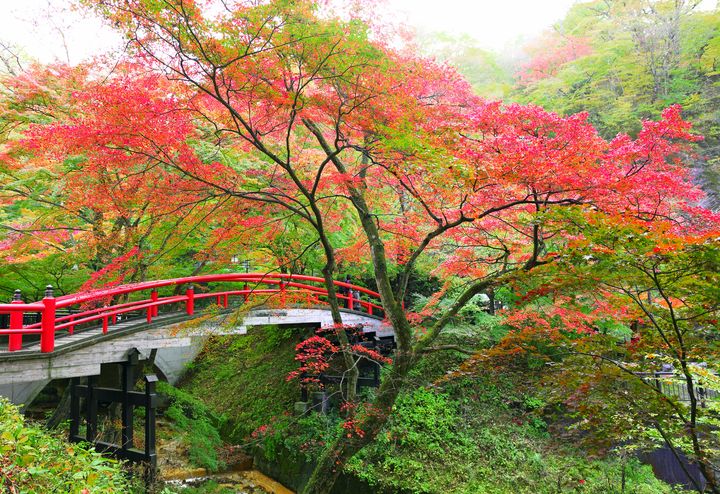 知る人ぞ知る絶景 千と千尋の神隠しのモデルになった橋 河鹿橋 が美しすぎる Retrip リトリップ