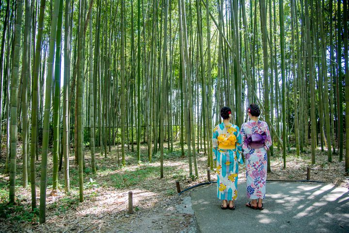 梅雨も明け、夏本格化！関西地方の「今週したいこと」7選