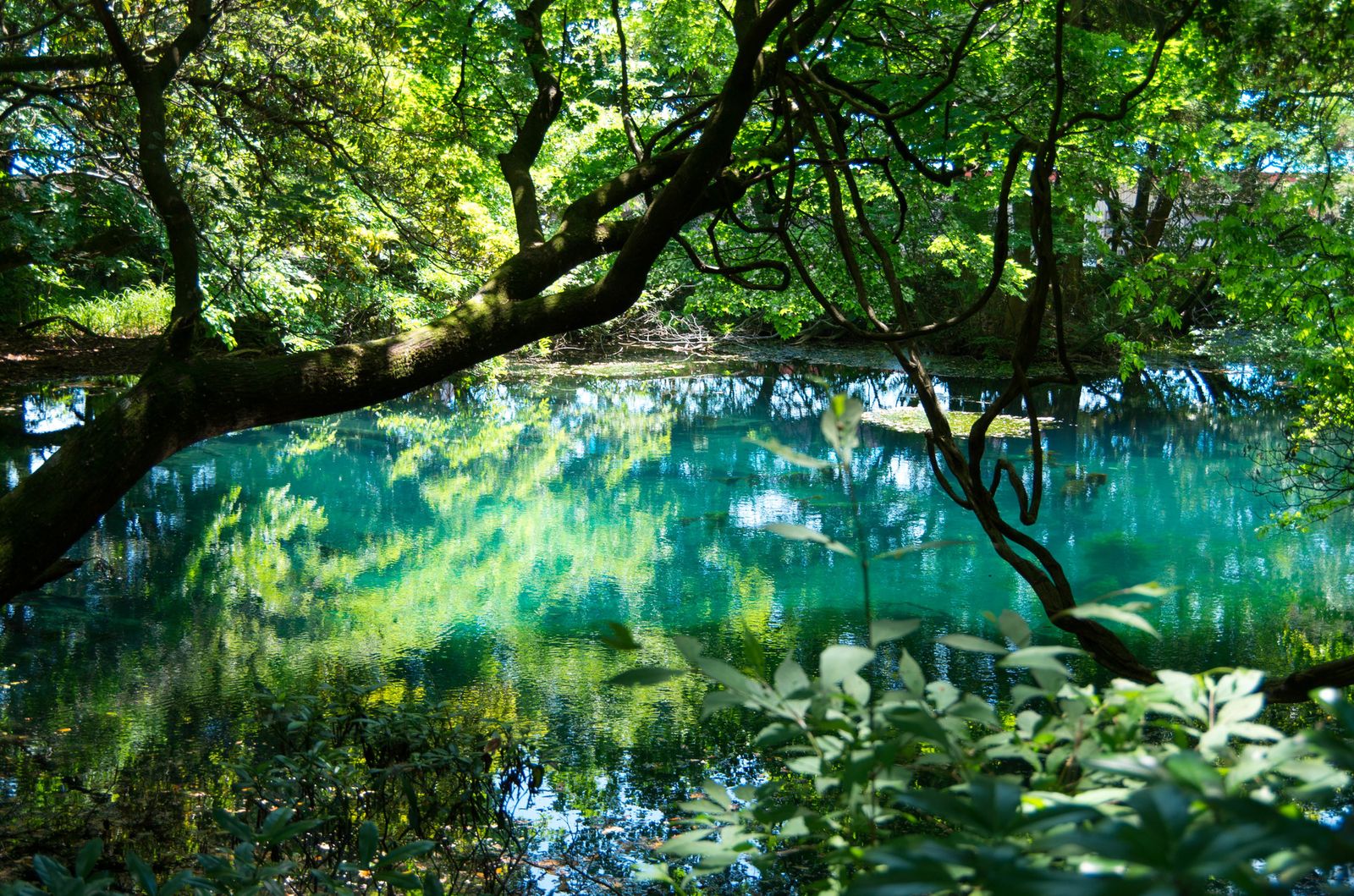 地元民も知らない絶景 山形県に隠された伝説の秘境 丸池様 とは Retrip リトリップ