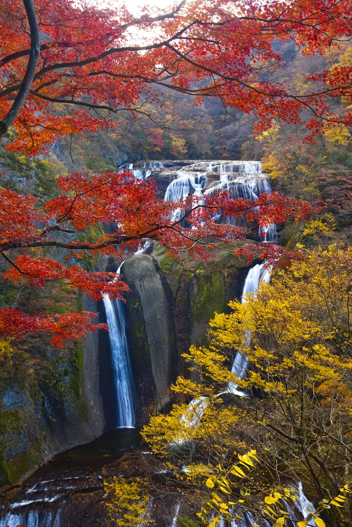 この迫力に 勝るものはあるか 日本三名瀑 袋田の滝 の力強い絶景が話題 Retrip リトリップ