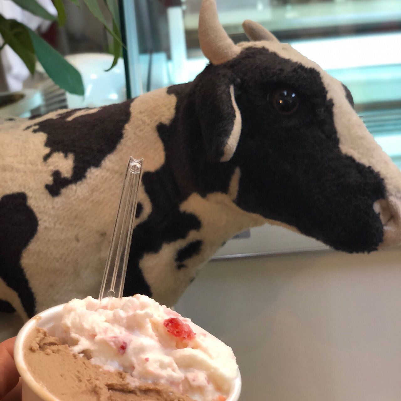 アイスクリーム工房ぼぼり Retrip リトリップ アイスクリーム工房ぼぼり Retrip リトリップ