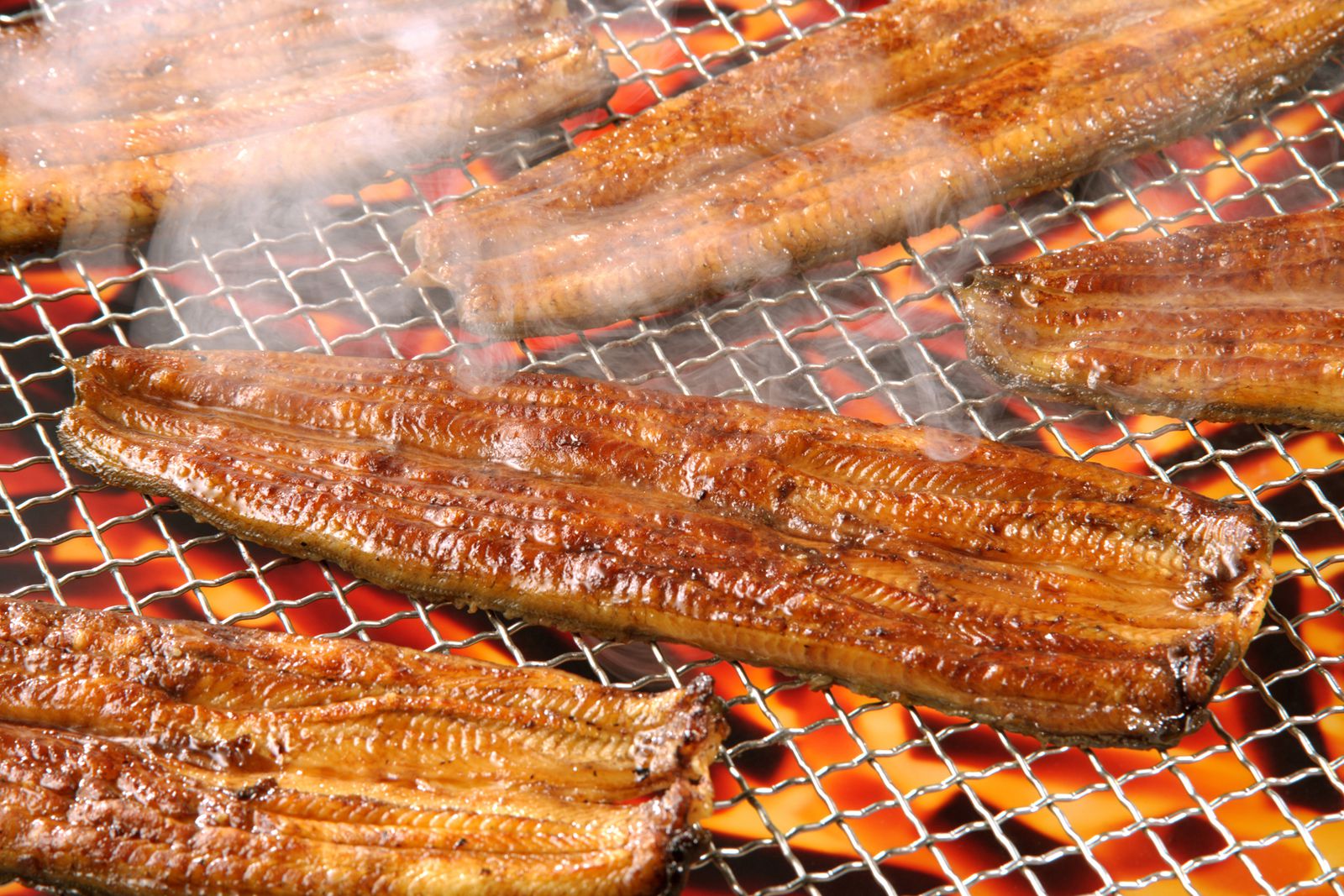 ただ食べるだけじゃつまらない 日本でうなぎ釣りを体験できるお店4選 Retrip リトリップ